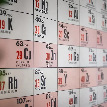 Altstadtjuwel Mit Loft Charme - Netflix