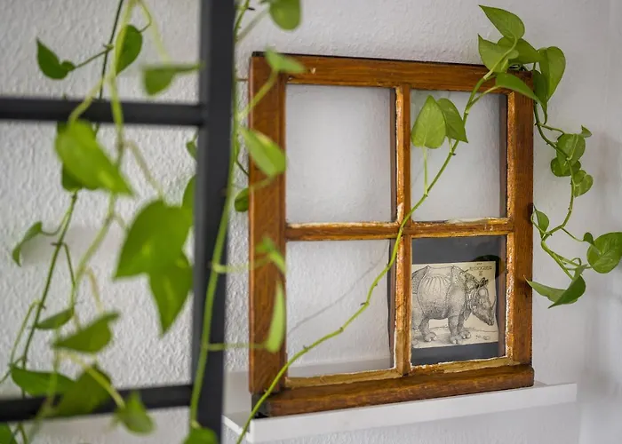 Altstadtjuwel Mit Loft Charme - Netflix *